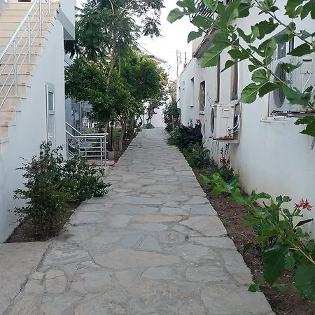 Palmaris * Palamutbuku