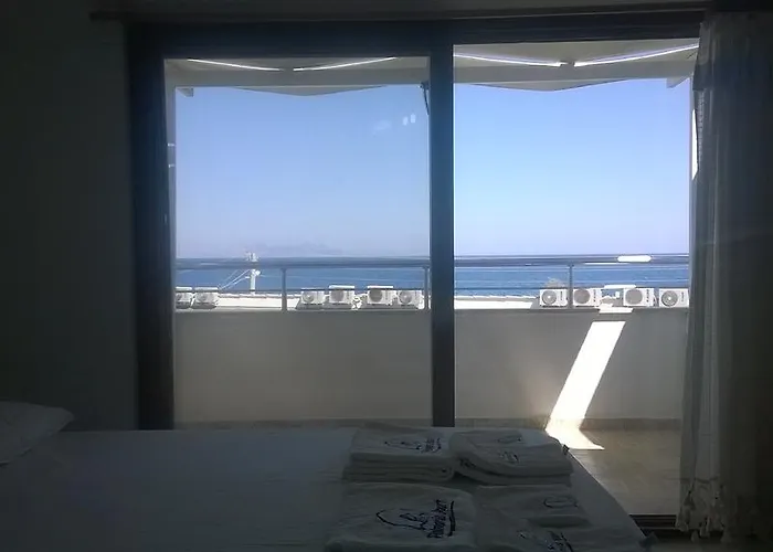 Palmaris Palamutbuku