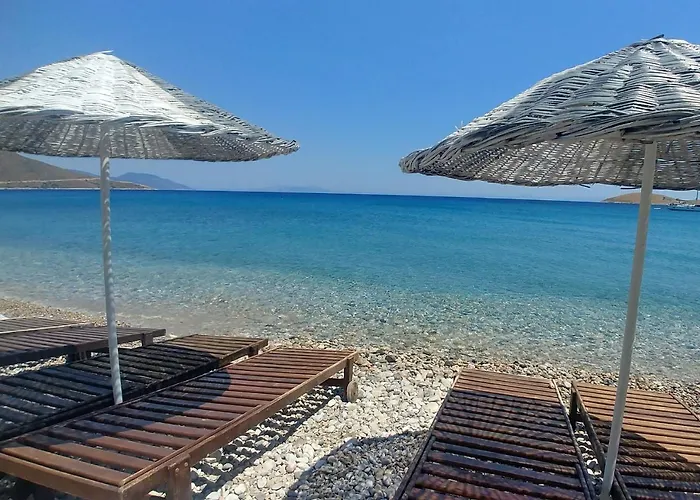 Palmaris * Palamutbuku